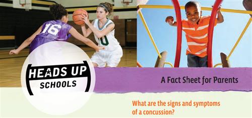Concussion Fact Sheet image